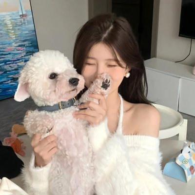 花颜劫