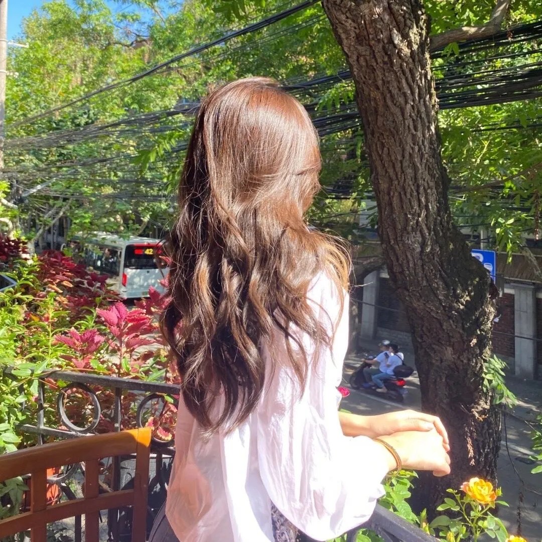 鲨人树儿